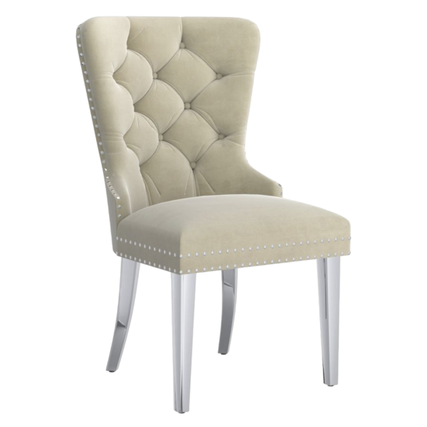 Hollis Side Chair Ivory