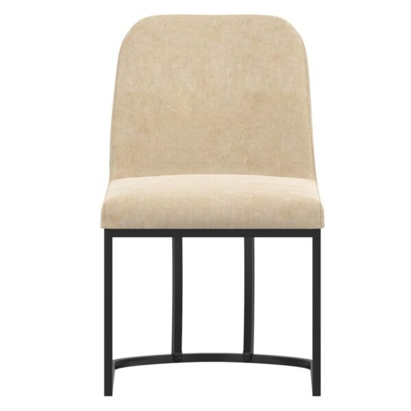Modern Dining Chair